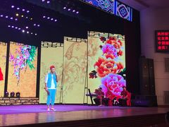 演出-南风大剧院莎梦二人转剧场