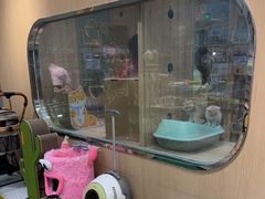 -BABIT巴比特宠物(MOMOPARK店)