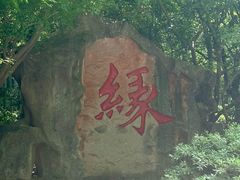 -杭州黄龙洞