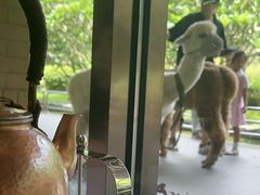 -南宁荔园维景国际酒店·荔园中餐厅