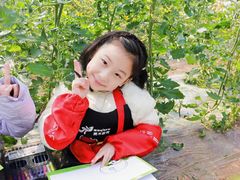 -缤纷鸟美术书法(交大校区)