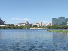 -莲花池公园