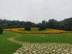-棒棰岛宾馆景区