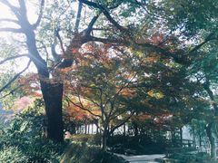 -西湖游船