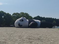 -苏州太湖国家湿地公园