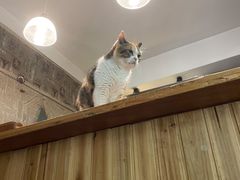 -隅cafe(傅厚岗店)