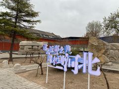 -正定古城-开元寺