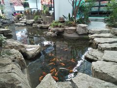 -森谷美食公园(杨行店)