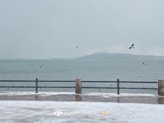 -幸福门