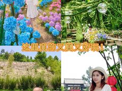 -黄陂区野村谷景区