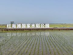 -红海滩国家风景廊道