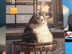 -猫的天空之城概念书店(北戴河蔚蓝海岸店)