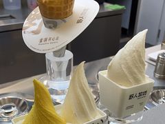 -野人先生现做冰淇淋(北京悠唐购物中心店)