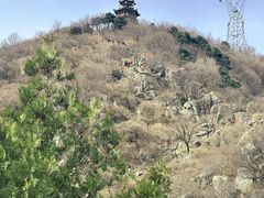 -北京鹫峰国家森林公园