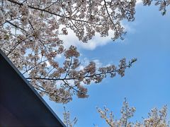-上海辰山植物园