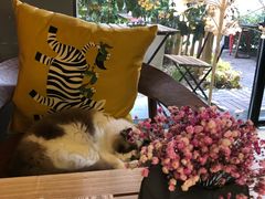 -咖法森林·咖啡  酒吧(天河店)