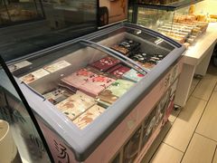 -蒲公英(五里店)