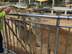 -泉州海丝野生动物世界