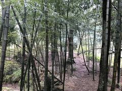 -庐山风景区花径公园