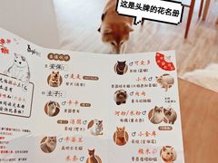 -猫小主咖啡·猫咖cat cafe(福田店)