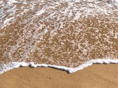 -玫瑰海岸文化旅游度假区