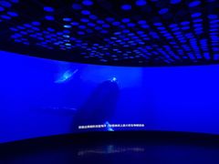 -同济大学四平路校区深海探索馆