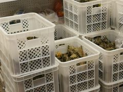 -璐坊粽王(复兴中路店)