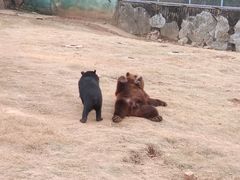 -无锡动物园·太湖欢乐园