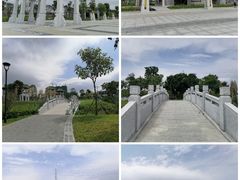 -王借岗森林公园