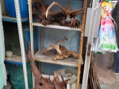 -秦美花卉(天朗·莱茵小城2期店)