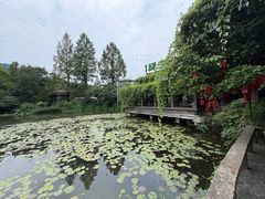 -绿茶餐厅(龙井船宴· 品牌总店)