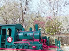 -哈尔滨文化公园