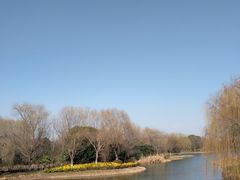 -贡湖湾湿地公园