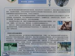 -青藏高原野生动物园