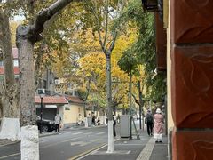 -颐和路民国时期公馆风貌区