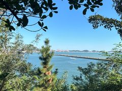 -星巴克(烟台大悦城店)