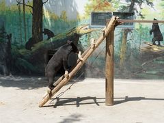 -西安秦岭野生动物园