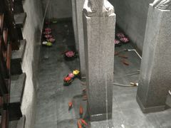 -鼎汇丰重庆老火锅(鞍顺园店)