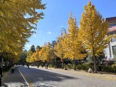 -中国政法大学(昌平校区)