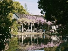 -西园戒幢律寺