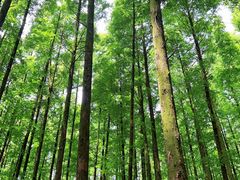-山王坪喀斯特国家生态公园
