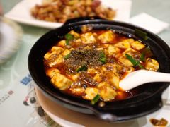 -陈麻婆豆腐总店