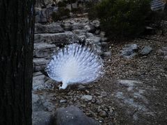 -大连老虎滩海洋公园