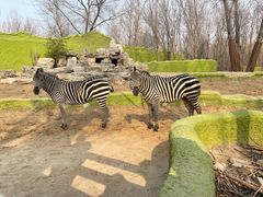 -北京野生动物园