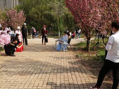 -长白岛森林公园