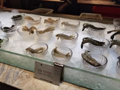 -半岛翡丽海鲜自助餐厅(观风亭店)