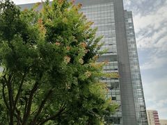 -京城小江南·北京烤鸭·江南土菜·白鱼(中关村店)