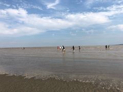 -南汇嘴观海公园