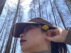 -黄海国家森林公园