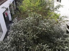 -雪霁山庄·合肥地标老字号